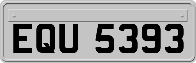 EQU5393