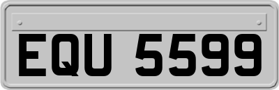 EQU5599