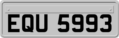 EQU5993