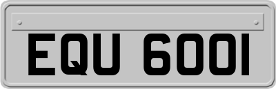 EQU6001