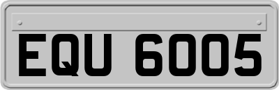 EQU6005
