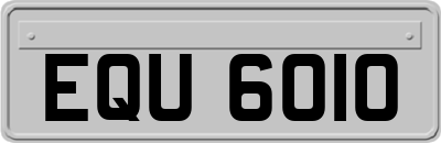 EQU6010