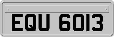 EQU6013