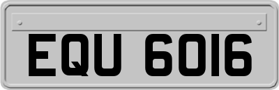 EQU6016