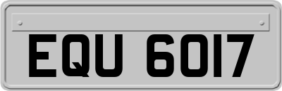 EQU6017