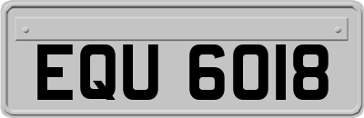 EQU6018