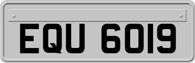 EQU6019