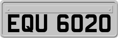 EQU6020