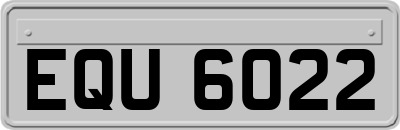 EQU6022