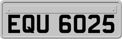 EQU6025