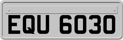 EQU6030