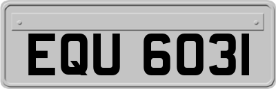 EQU6031