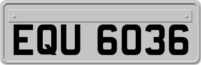 EQU6036