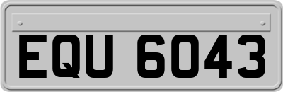 EQU6043