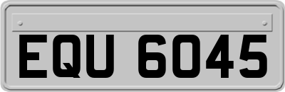 EQU6045