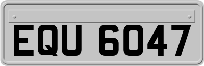 EQU6047