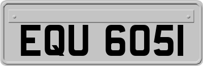 EQU6051