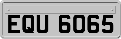EQU6065