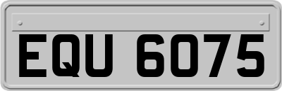EQU6075