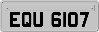 EQU6107