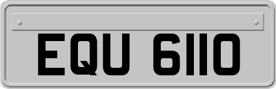 EQU6110