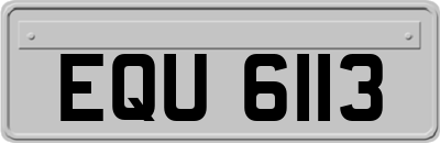 EQU6113