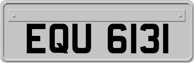 EQU6131