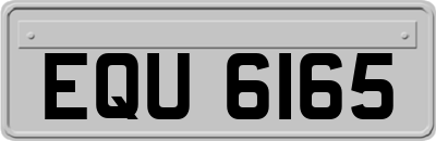 EQU6165