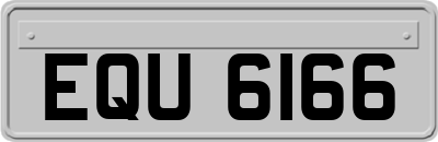 EQU6166