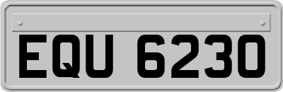 EQU6230