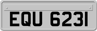 EQU6231