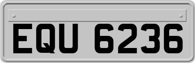 EQU6236