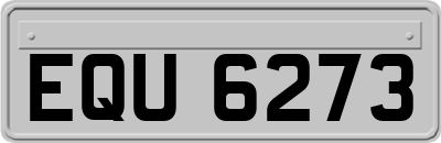 EQU6273
