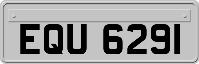 EQU6291