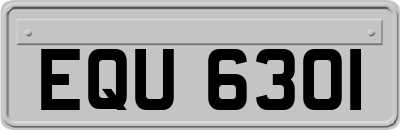 EQU6301