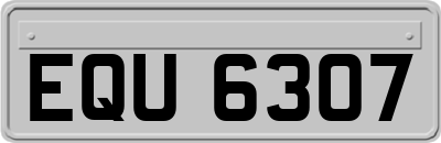 EQU6307