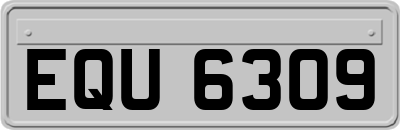 EQU6309