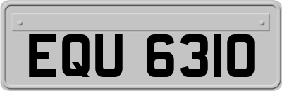 EQU6310