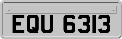 EQU6313