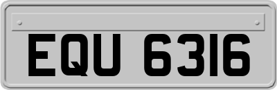 EQU6316