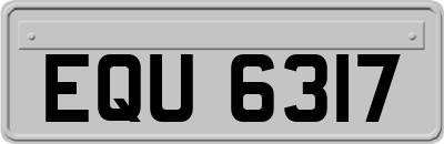 EQU6317