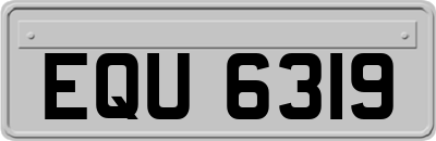 EQU6319