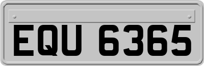 EQU6365