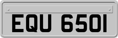 EQU6501