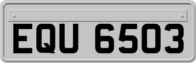EQU6503