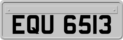 EQU6513