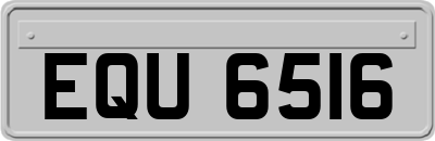 EQU6516