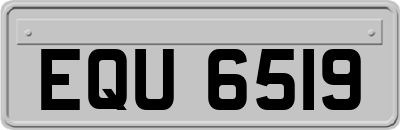 EQU6519