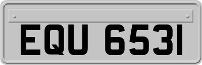 EQU6531