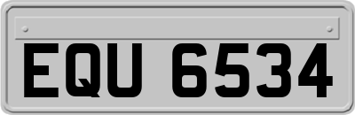 EQU6534
